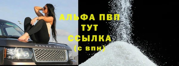 твердый Вяземский