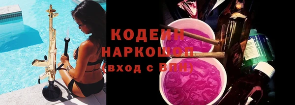 твердый Вяземский