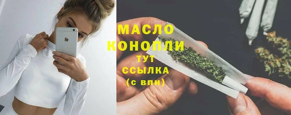 твердый Вяземский