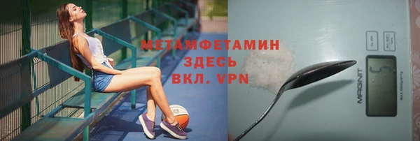 твердый Вяземский