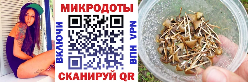 Купить где Мышкин Галлюциногенные грибы Magic Shrooms