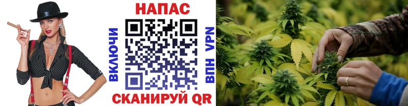 Марихуана VHQ Купить где Мышкин